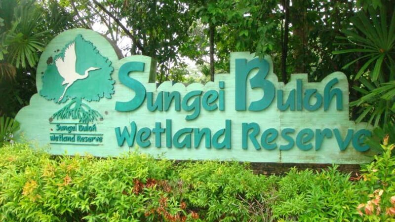 Singapore: Sungei Buloh Wetland Reserve Private Tour - Good To Know