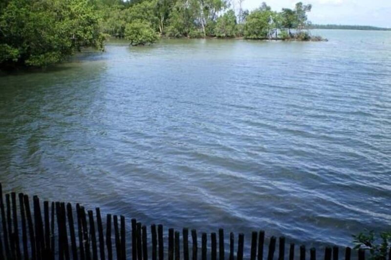 Singapore: Sungei Buloh Wetland Reserve Private Tour - Exploring the Sungei Buloh Wetland Reserve Private Tour