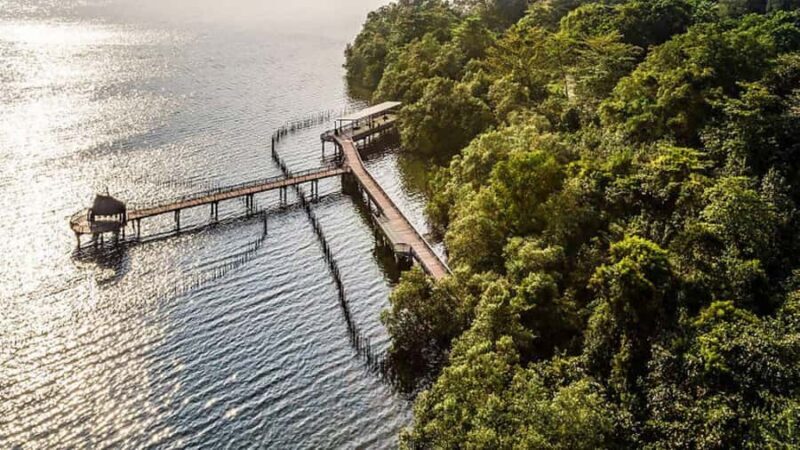 Singapore: Sungei Buloh Wetland Reserve Private Tour - Who Would Love This Tour?