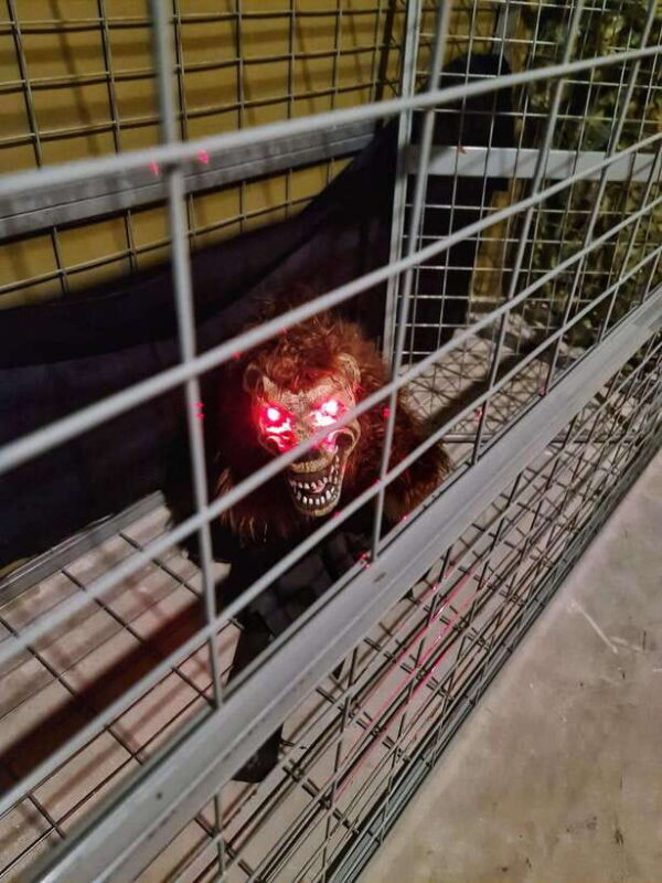 Singapore: Trapped Escape Room Entry Ticket - Final Thoughts