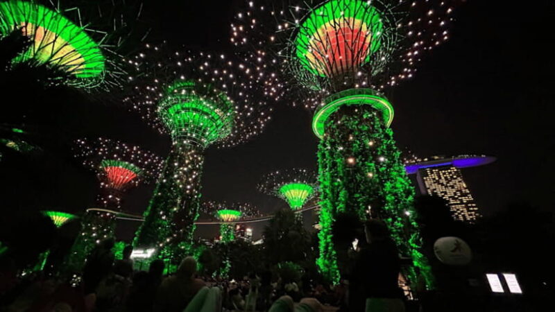 Singapore: Twilight Tour with River Cruise and Light Shows - Who Should Consider This Tour?