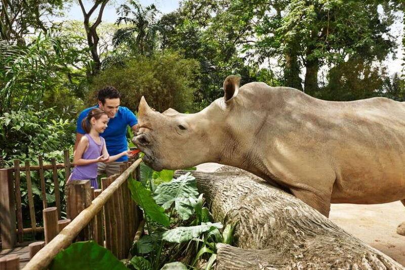 Singapore Zoo: 1-Day Entrance E-Ticket - Good To Know