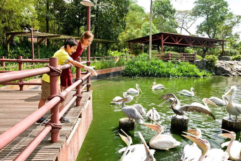 Singapore Zoo: 1-Day Entrance E-Ticket - Who Will Love It?