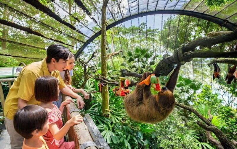 Singapore Zoo: 1-Day Entrance E-Ticket - An Inside Look at the Singapore Zoo Experience