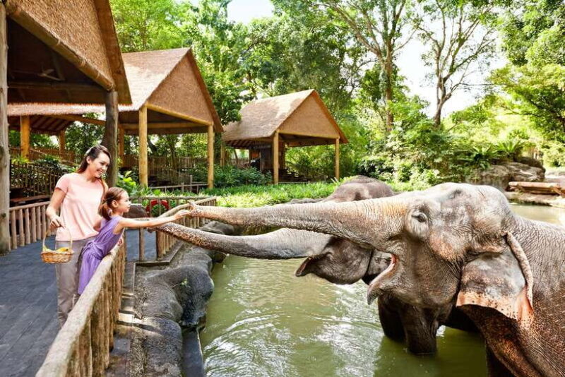 Singapore Zoo: 1-Day Entrance E-Ticket - Practical Information and Considerations