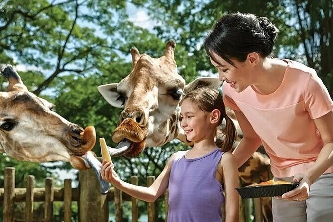 Singapore Zoo - Common Questions