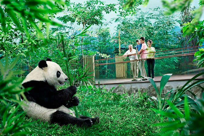 Singapore Zoo & Night Safari Day ( Tickets & Transfer ) - Highlights of the Singapore Zoo