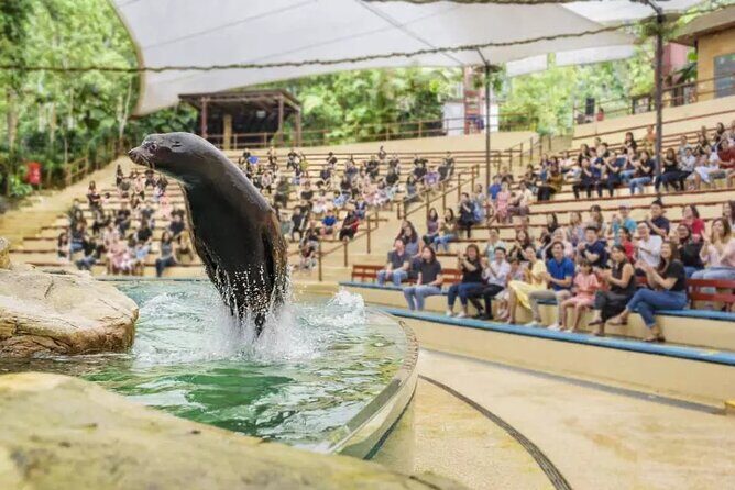 Singapore Zoo Ticket with Tram Mandai Wildlife Reserve, Singapore - A Closer Look at the Tour Experience