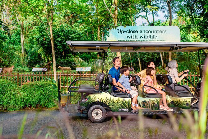 Singapore Zoo Ticket with Tram Mandai Wildlife Reserve, Singapore - Practical Tips for Visitors  