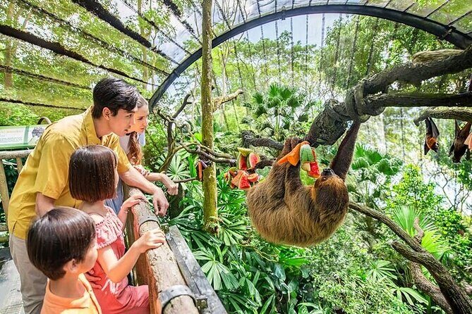 Singapore Zoo Tickets with Tram Ride - Singapore Zoo Tickets with Tram Ride Review