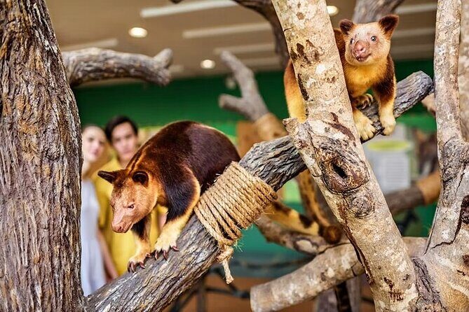 Singapore Zoo Tickets with Tram Ride - FAQ