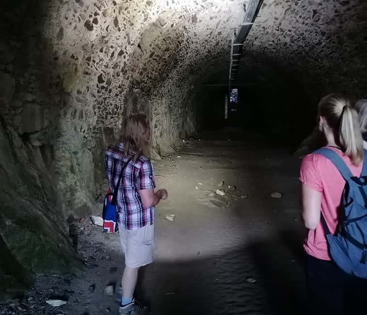 Singen: Guided tour of the Hohentwiel fortress ruins with a castle researcher - FAQ