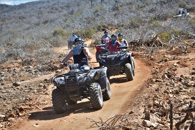 Single ATV Tour From Migriño Beach & Desert - Safety Guidelines