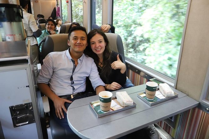 Single-Day Tour to Machu Picchu From Cusco, Peru - Transportation