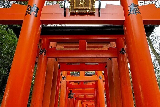 Single- & multi-day Adventures within Kyoto Nara Osaka Kobe - Good To Know