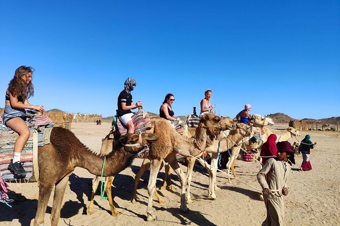 Single Quad Biking in Hurghada - Highlights of the Quad Biking Experience