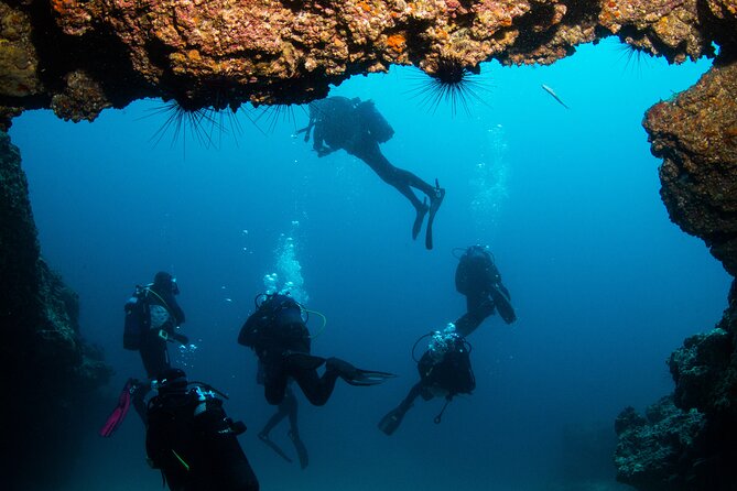 Single Scuba Try-Dive in Puerto Del Carmen - Small Groups - 2 Hours - Reviews