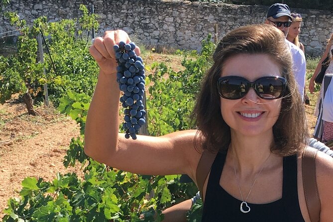 Singular Valencia Wine Tour Utiel Requena Wineries - The Sum Up
