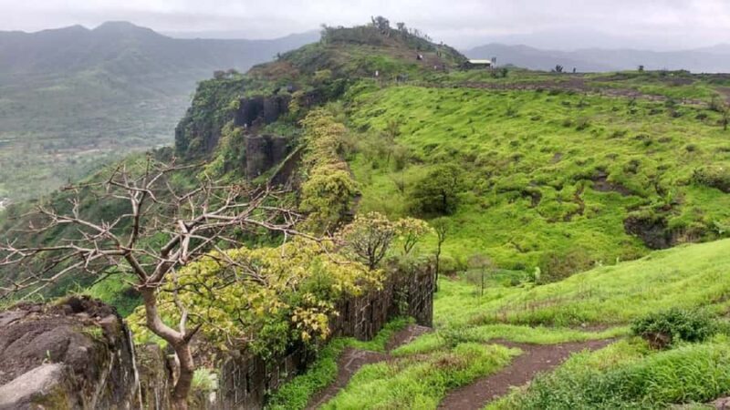 Sinhagad Fort Half-Day Guided Tour from Pune with Lunch - Who This Tour Is Best For  