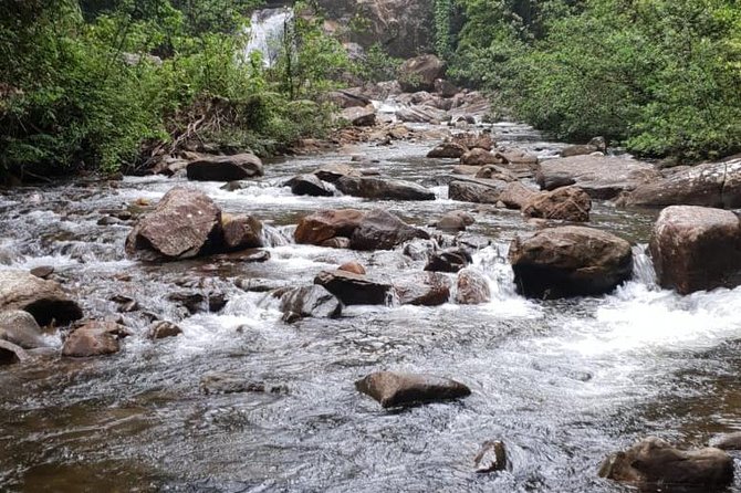 Sinharaja Expedition 3-4 Hours Tour With One Waterfall All Included - Fees, Taxes, Snacks, and Water