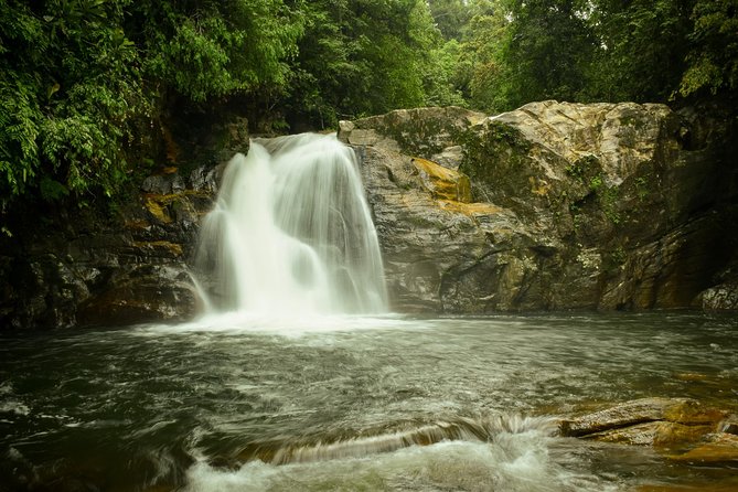 Sinharaja Expedition 3-4 Hours Tour With One Waterfall All Included - Meeting and Pickup Options