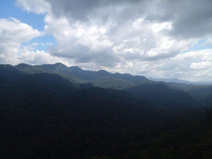 Sinharaja Forest Reserve Glamping With BBQ Night - Glamping in Sinharaja Forest Reserve