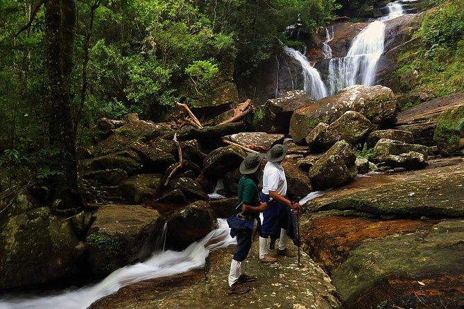 Sinharaja Forest Reserve Private Day Trip With Ranger Guide 2023 - Bentota - Traveler Photos