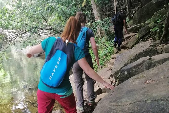 Sinharaja Forest Reserve Private Day Trip With Ranger Guide 2023 - Bentota - Highlights of the Private Day Trip