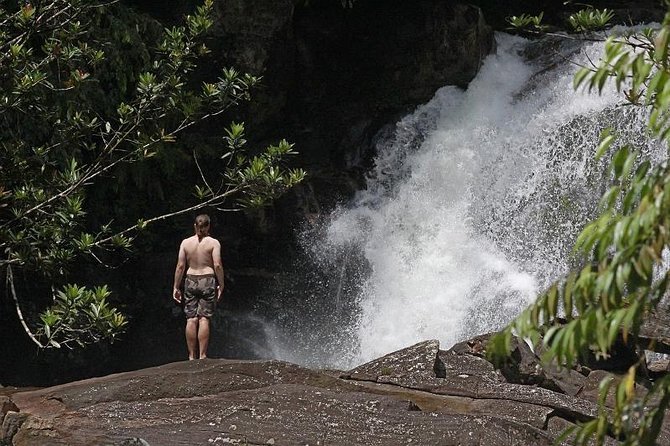 Sinharaja Forest Reserve (Sinharaja Rain Forest) Private Tour  - Galle - Price