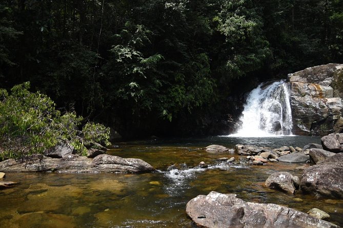 Sinharaja Forest Reserve (Sinharaja Rain Forest) Private Tour  - Galle - Common Questions
