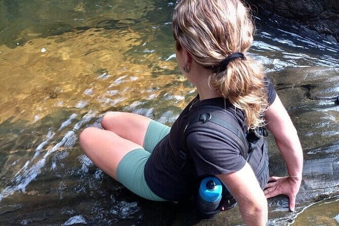 Sinharaja Rain Forest Day Tour from Mirissa, Galle, Bentota Area - An in-depth look at the Sinharaja Rain Forest Day Tour