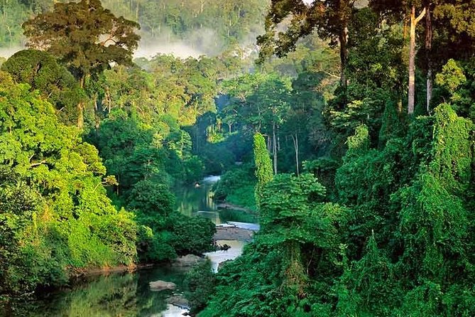 Sinharaja Rain Forest Guided Day Tour From Colombo and Negombo - Inclusions and Pickup Details