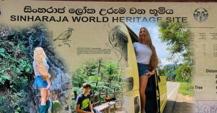 Sinharaja Rain Forest & Tea Factory Private Trip - Experience Highlights