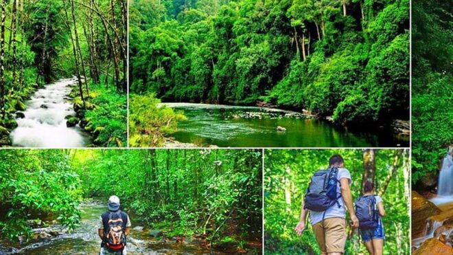 Sinharaja Rain Forest & Tea Factory Private Trip - Customer Feedback