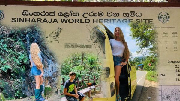 Sinharaja Rain Forest & Tea Factory Private Trip - Travel Tips