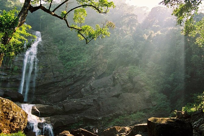 Sinharaja Rain Forest Tour From Colombo - Tour Start and End Time