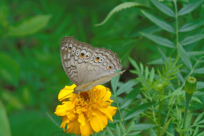 Sinharaja Rain Forest Tours (Full Day) - Tour Duration and Time Confirmation