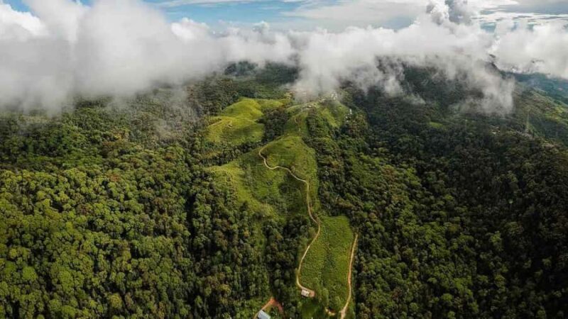 Sinharaja Rain Forest (UNESCO) & Eco 3-Day Tour with Hotel - Practical Tips & What To Bring