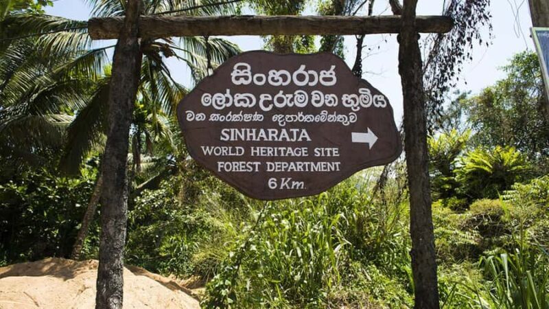 Sinharaja Rain Forest (UNESCO) & Eco 3-Day Tour with Hotel - The Cost & Value