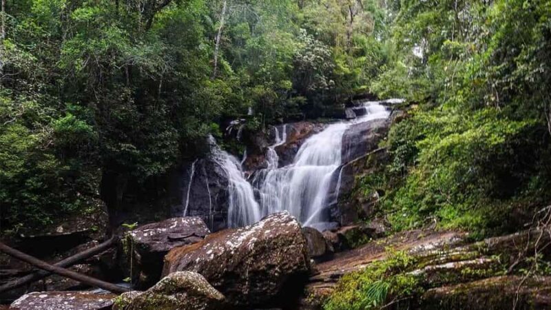 Sinharaja Rain Forest (UNESCO) & Eco 3-Day Tour with Hotel - Overview of the 3-Day Sinharaja Rainforest Eco Tour