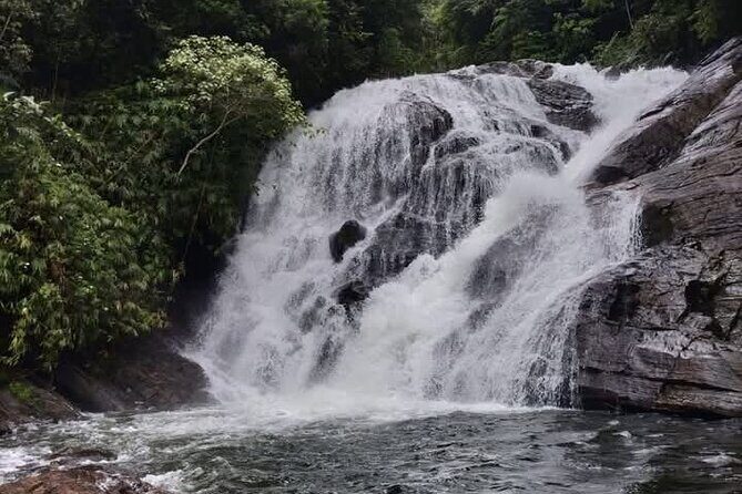 Sinharaja Rain Forest Waterfall Tour - An In-Depth Look at the Sinharaja Rainforest Waterfall Tour