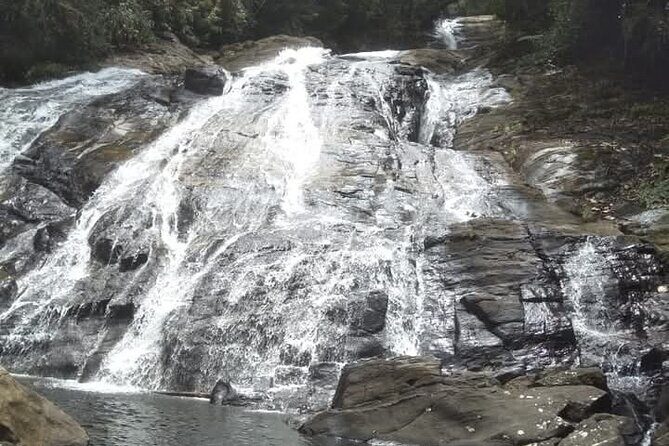 Sinharaja Rain Forest Waterfall Tour - What Makes This Tour Stand Out