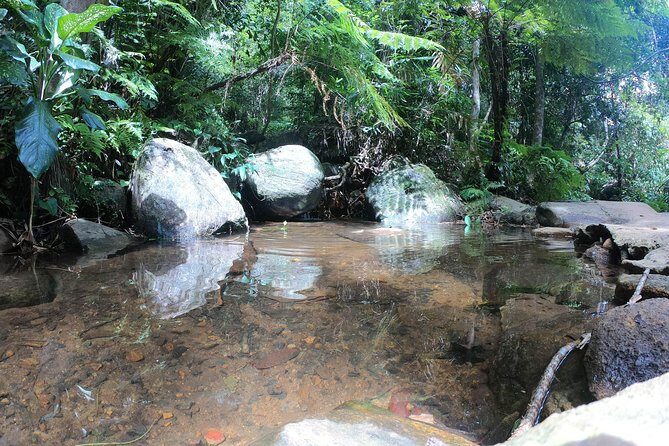 Sinharaja' rainforest - Adventure Tour (Full day) - Starting Point and Transportation