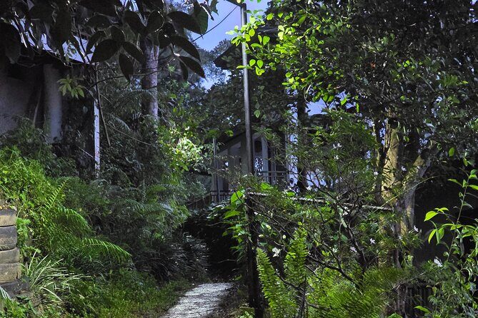 Sinharaja' rainforest - Adventure Tour (Full day) - Tour End and Return