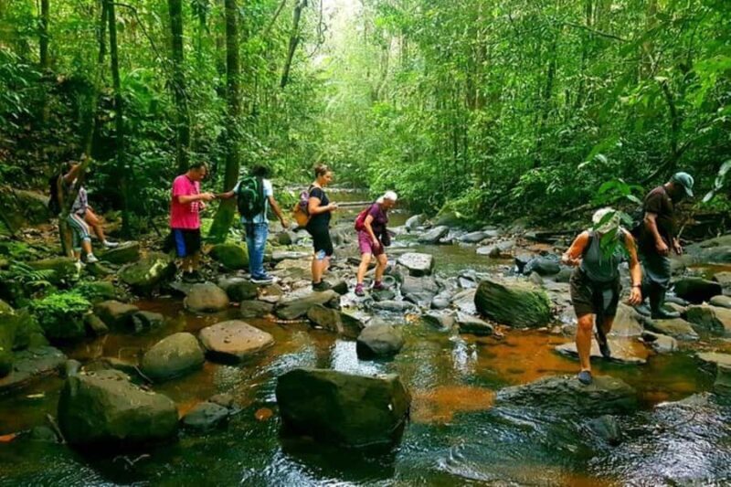 Sinharaja Rainforest: Guided Day Tour from Bentota/Colombo - Setting the Scene: What Makes This Tour Special?