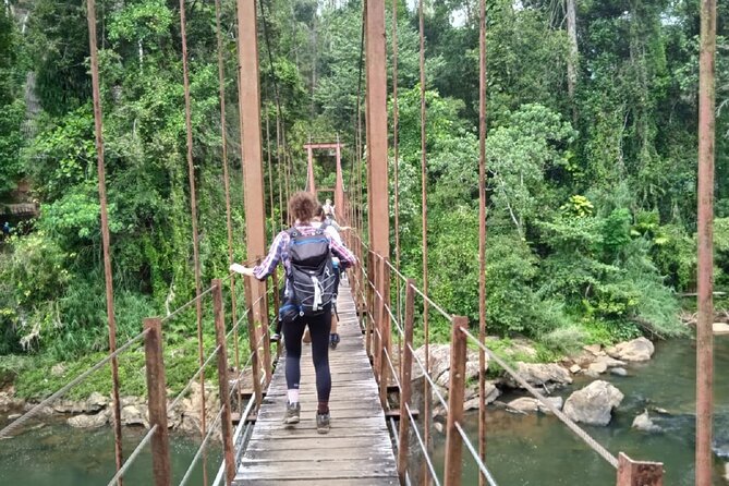 Sinharaja Rainforest Hiking Tour - Good To Know