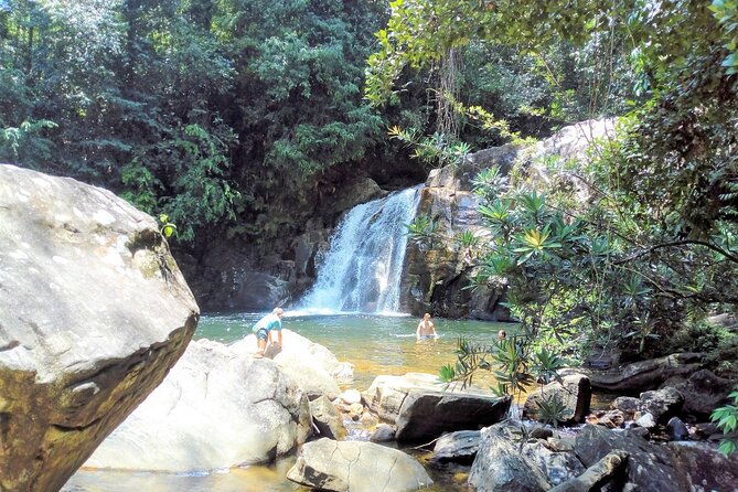 Sinharaja Rainforest Hiking Tour - Reviews