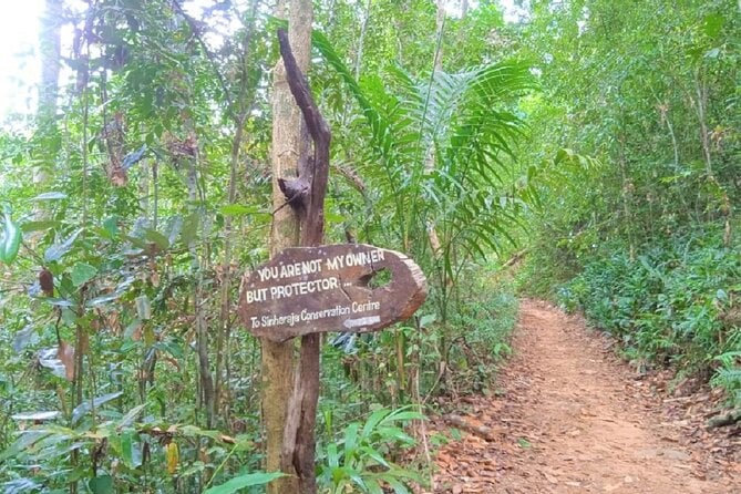 Sinharaja Rainforest Hiking Tour - General Information