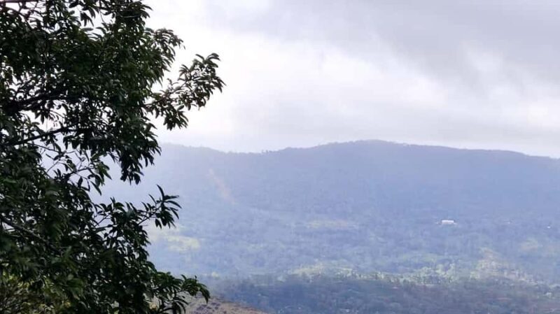 Sinharaja Rainforest Morning Bird watching walking Tour - What Birds Might You See?