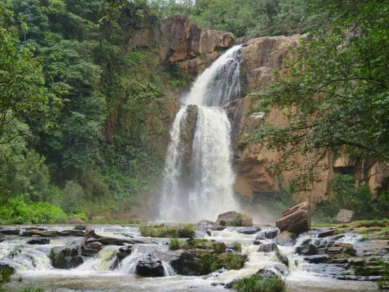 Sinharaja Rainforest: Nature Tour with Local Guide - Good To Know